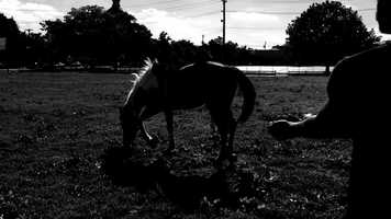 Free download [2017] The Death of Cleopatra: Three Movements for Edmonia Lewis, Movement II video and edit with RedcoolMedia movie maker MovieStudio video editor online and AudioStudio audio editor onlin